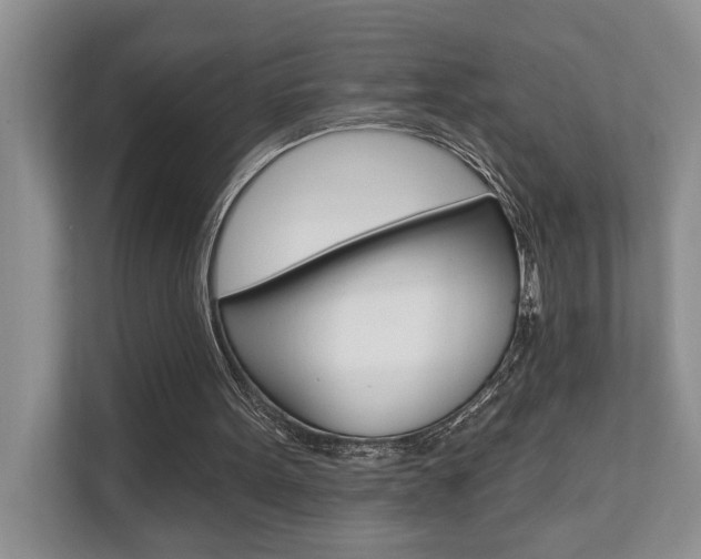 X0000110700099200906121044