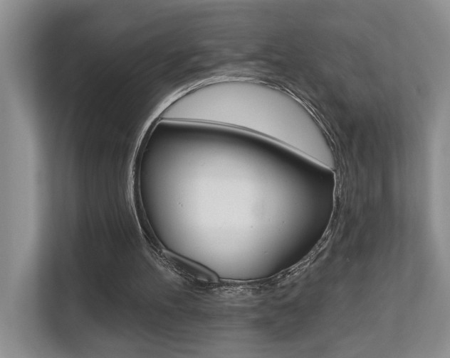 X0000110700100200906121044