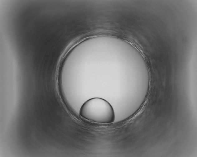 X0000110700101200906121044