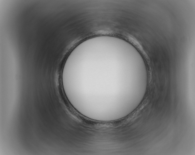 X0000110700106200906121044