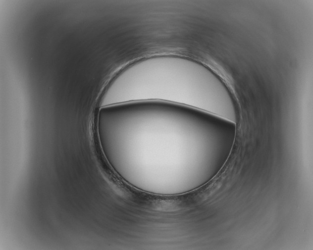 X0000110700107200906121044