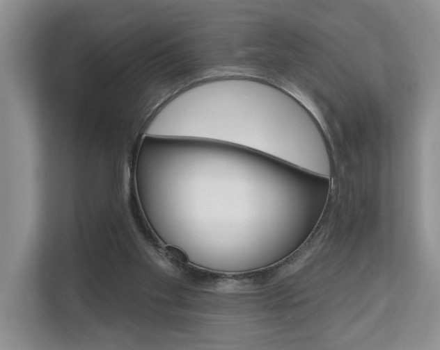 X0000110700109200906121044