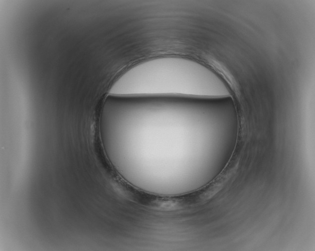 X0000110700113200906121044