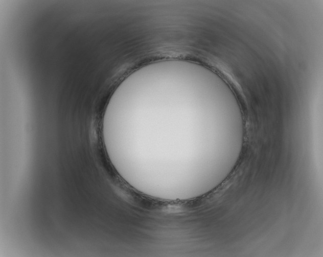 X0000110700114200906121043