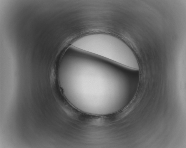 X0000110700116200906121043
