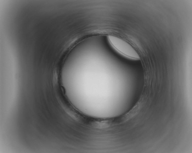 X0000110700120200906121043