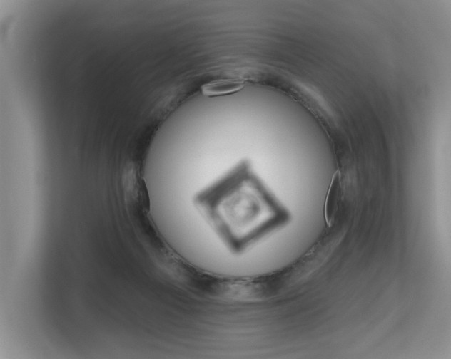 X0000110700121200906121043
