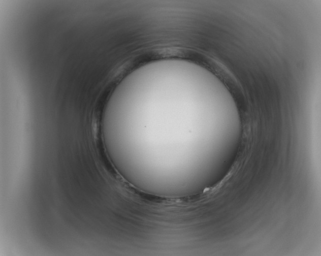 X0000110700124200906121043