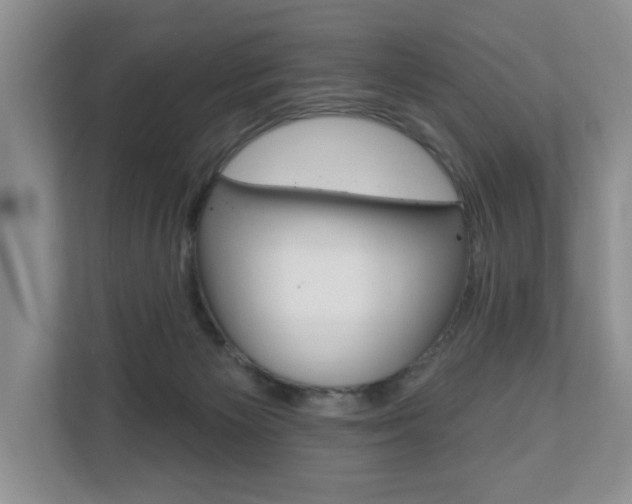 X0000110700125200906121043