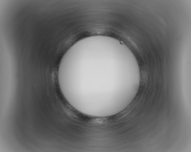 X0000110700126200906121043