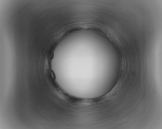 X0000110700128200906121043