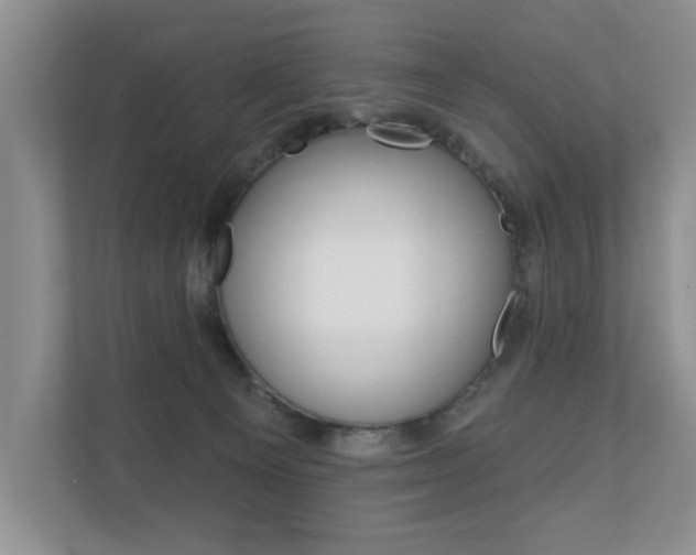 X0000110700129200906121043