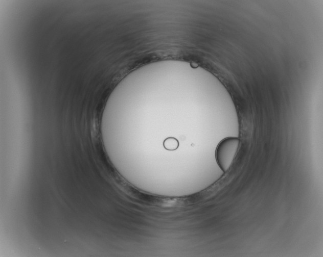 X0000110700130200906121043