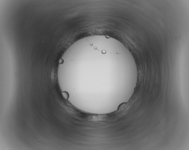 X0000110700134200906121043