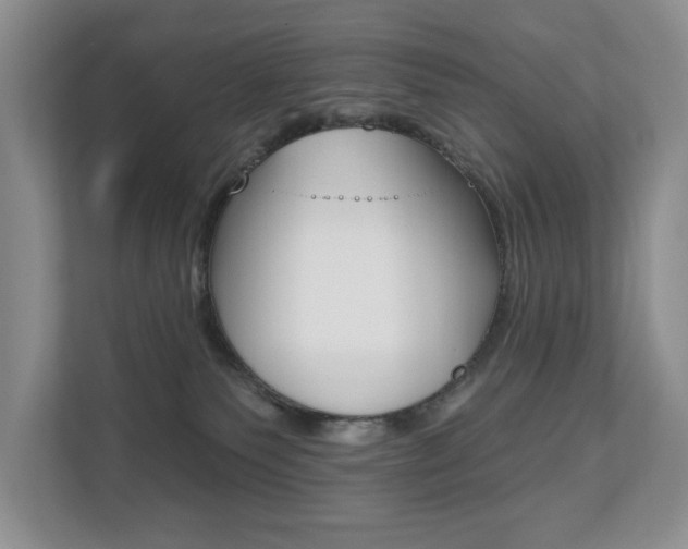 X0000110700135200906121043