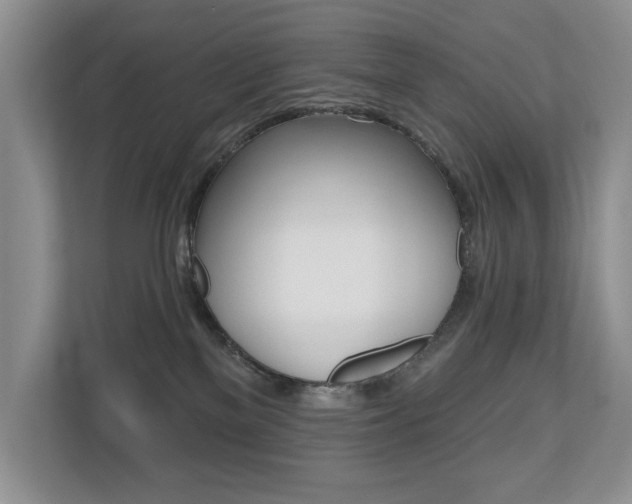 X0000110700137200906121043