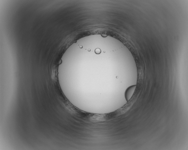 X0000110700138200906121043