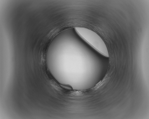 X0000110700140200906121043