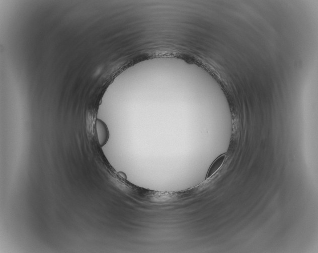 X0000110700142200906121043