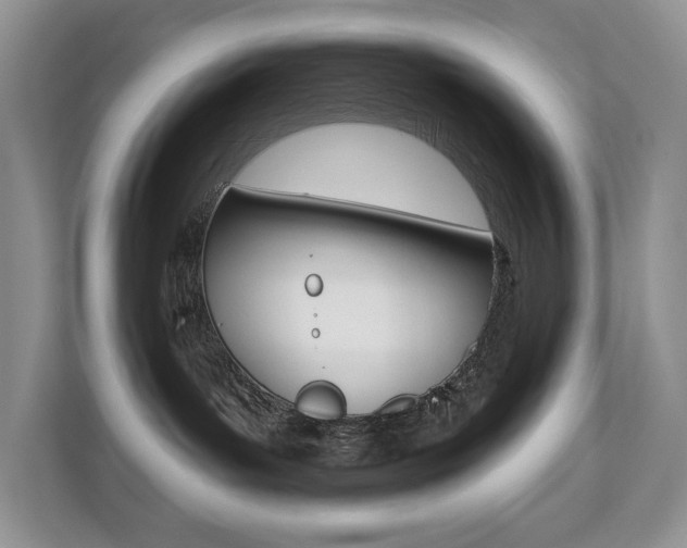 X0000110700143200906121043