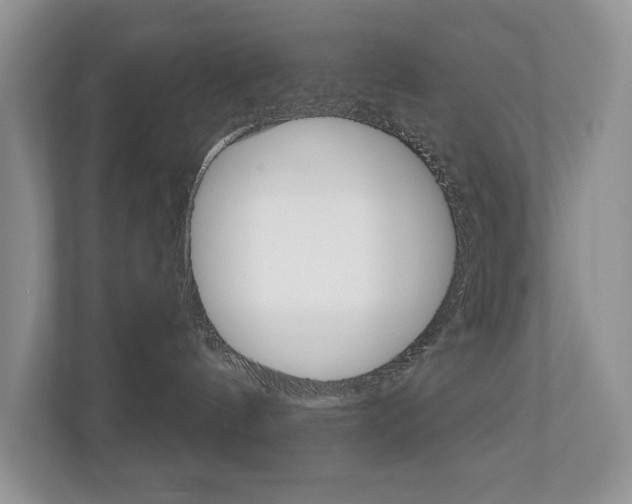 X0000110700144200906121043