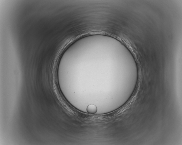 X0000110700145200906121042