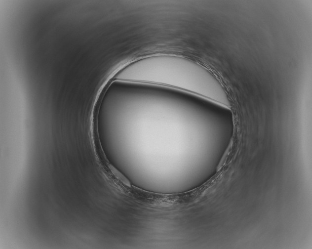 X0000110700148200906121043