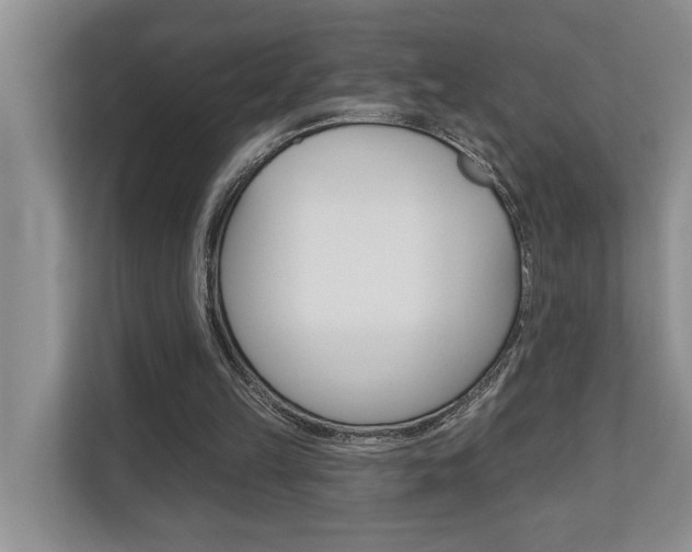 X0000110700149200906121043