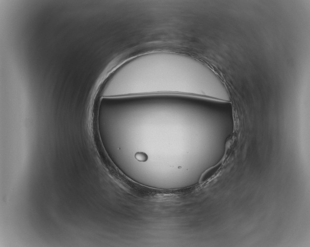 X0000110700150200906121043