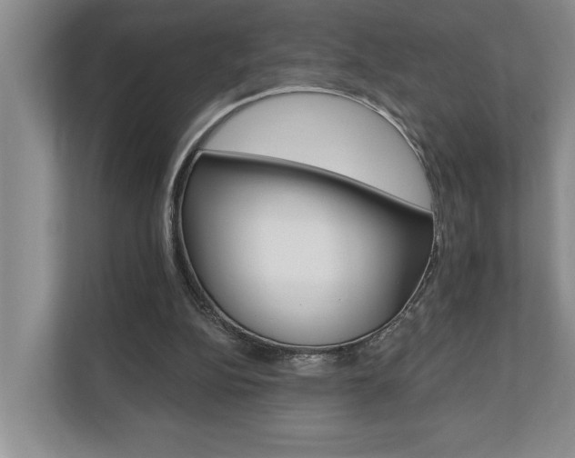 X0000110700152200906121043