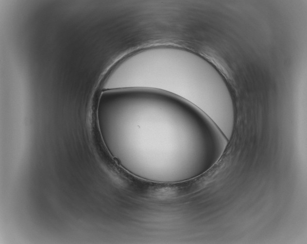 X0000110700156200906121043