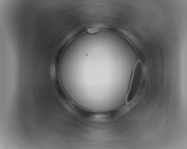 X0000110700158200906121043