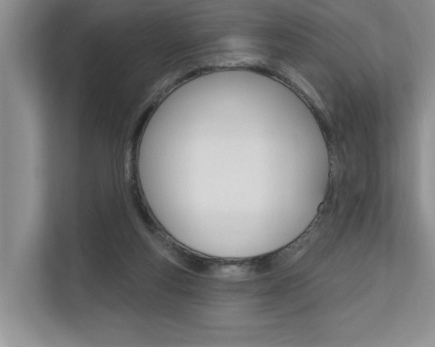 X0000110700163200906121043