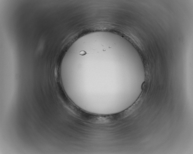 X0000110700166200906121043