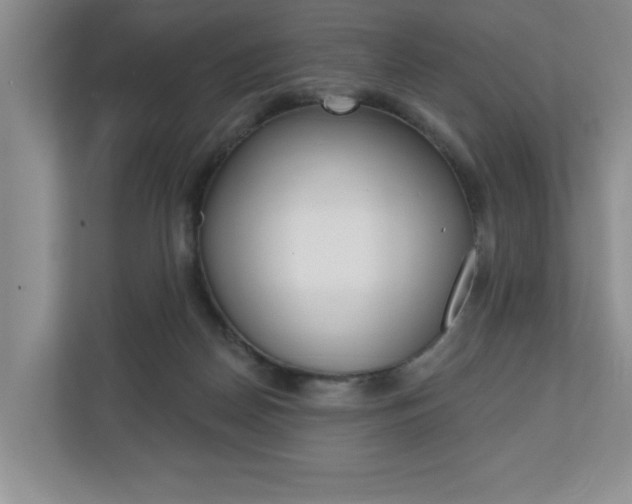 X0000110700170200906121043