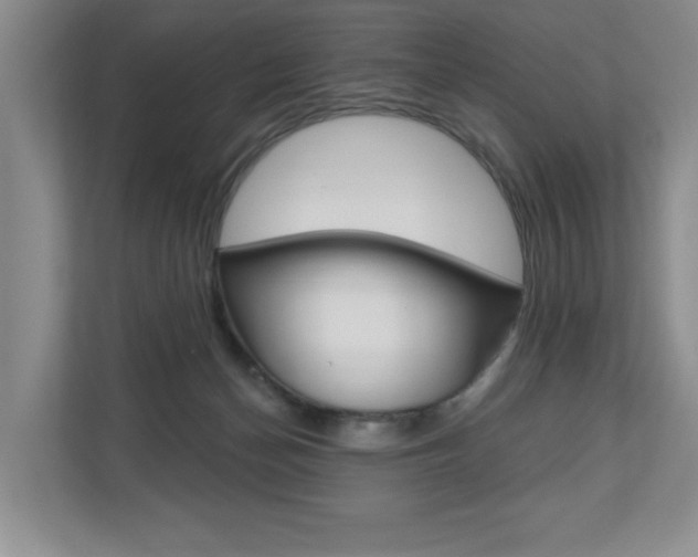 X0000110700174200906121043