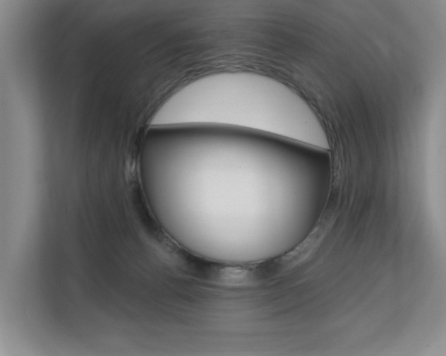 X0000110700176200906121043