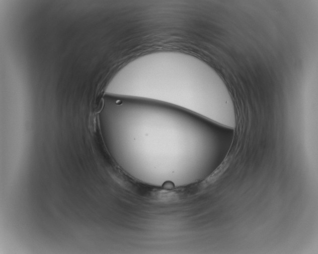 X0000110700180200906121043