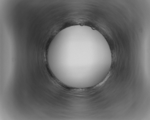 X0000110700182200906121043