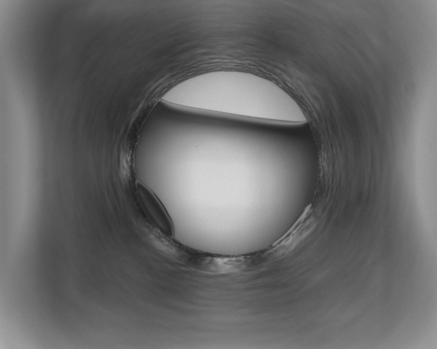 X0000110700188200906121043