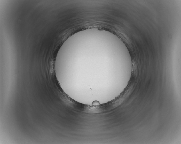 X0000110700189200906121043