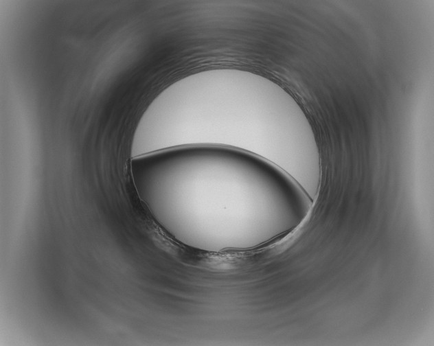 X0000110700190200906121043