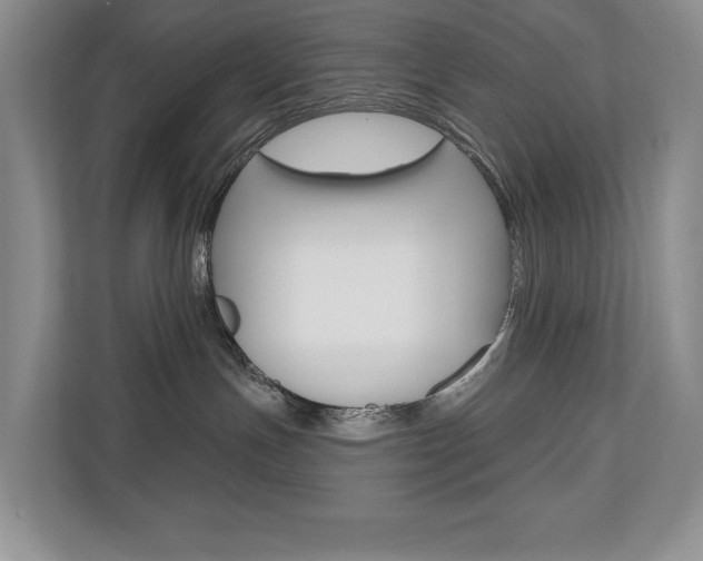 X0000110700191200906121043