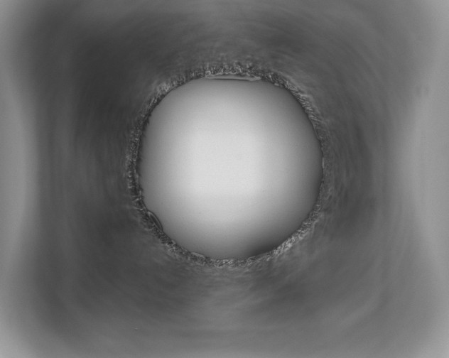 X0000110700192200906121043