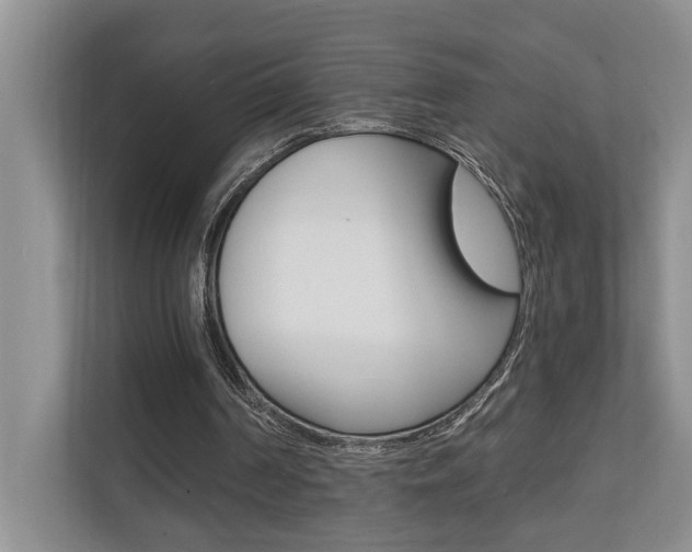 X0000110700194200906121042