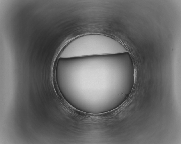 X0000110700195200906121042