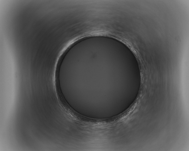 X0000110700196200906121042
