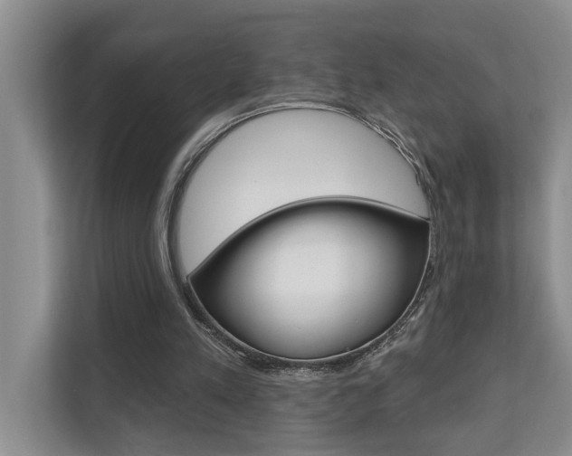 X0000110700197200906121042