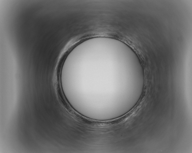 X0000110700198200906121042