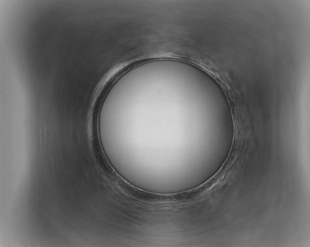 X0000110700200200906121042